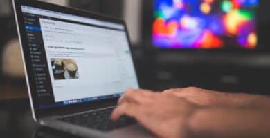 wordpress